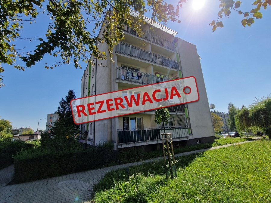 zdjecie